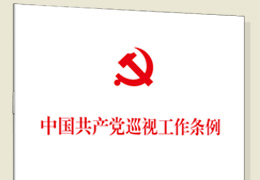 中國共產黨巡視工作條例